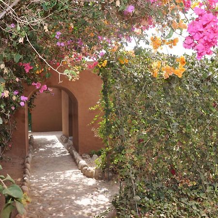 La Palmeraie De Massa Otel Zaouit Massa Dış mekan fotoğraf