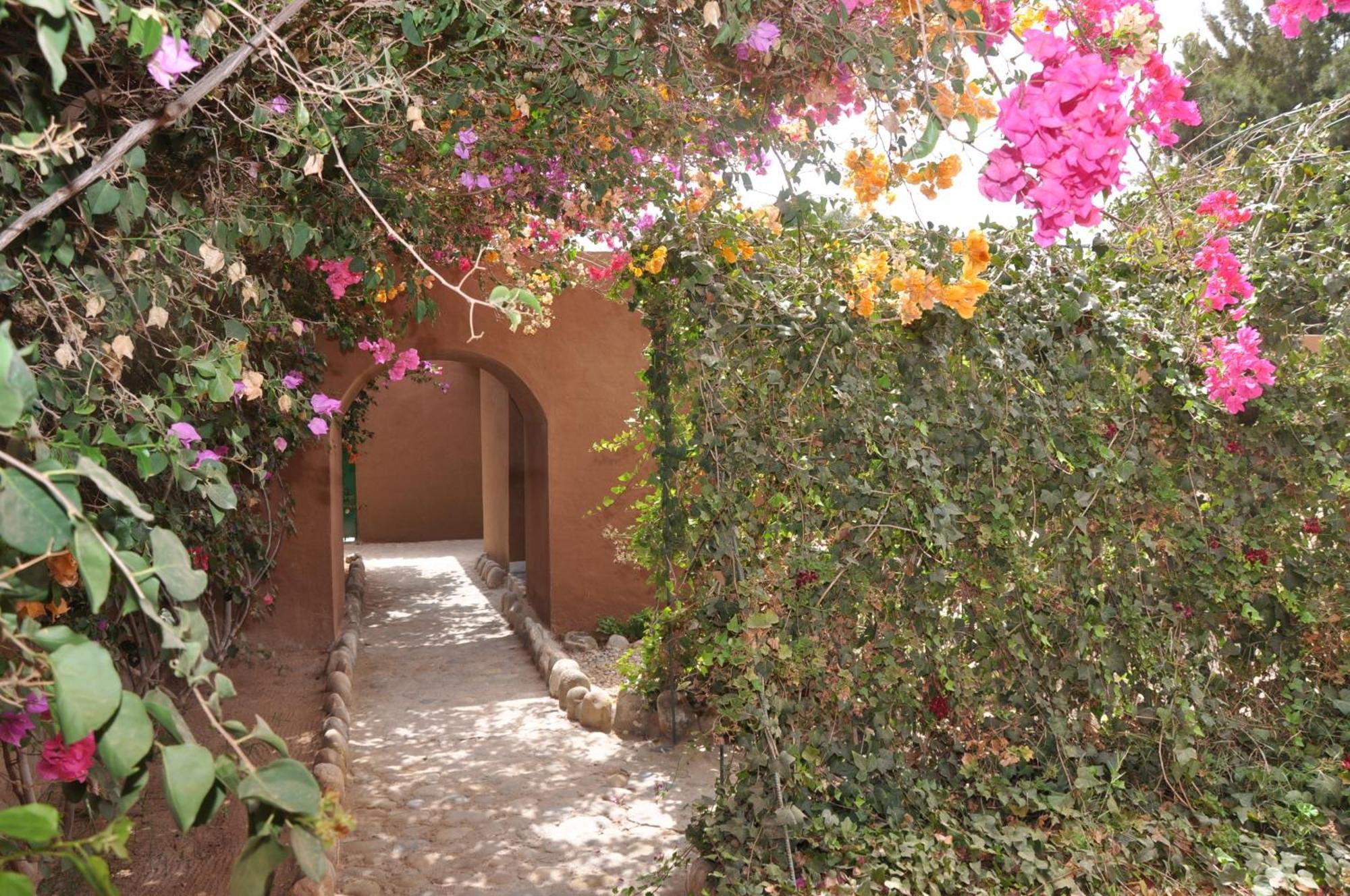 La Palmeraie De Massa Otel Zaouit Massa Dış mekan fotoğraf