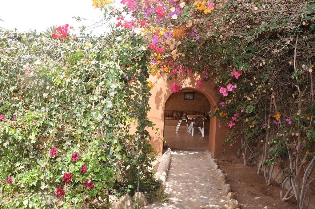 La Palmeraie De Massa Otel Zaouit Massa Dış mekan fotoğraf