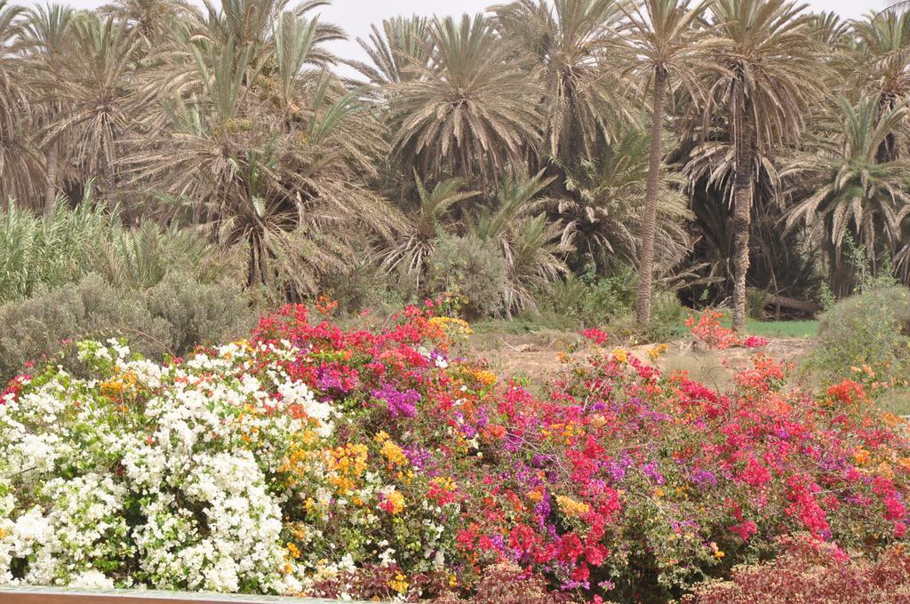 La Palmeraie De Massa Otel Zaouit Massa Dış mekan fotoğraf