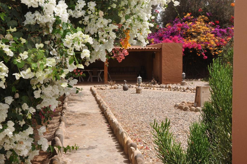 La Palmeraie De Massa Otel Zaouit Massa Dış mekan fotoğraf